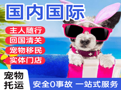 尧都机场邮寄国际宠物托运 【国